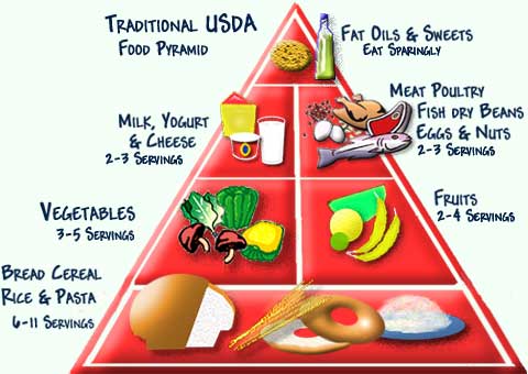 USDA Food Pyramid, traditional, lots of carbs